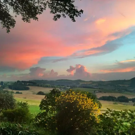 Lucertola San Lorenzo in Campo